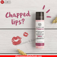 The Body Shop Vitamin E Moisture Protect Lip Care 4.2ml