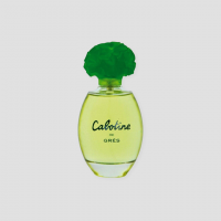 Discover the Enchanting Fragrance of Parfums Gres Cabotine De Gres