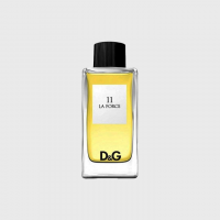 D&G Anthology La Force 11 Dolce&Gabbana for men 100ml