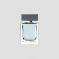 The One Gentleman by Dolce & Gabbana - EDT Spray for Men (100ml): Unleash Your Sophistication