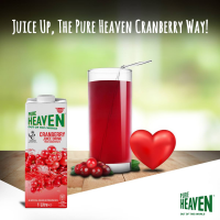 Pure Haven Cranberry Juice Drink 1 Litre | Premium Quality and Refreshing Flavor