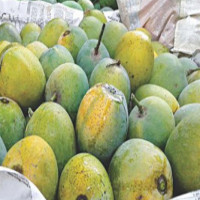 Shop the Sweetest and Juiciest Mangoes Online at [Ecommerce Website]