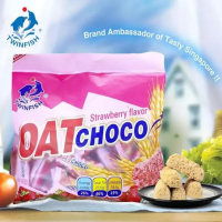 Buy TwinFish Oat Choco Strawberry Flavor - Delicious and Nutritious Treat