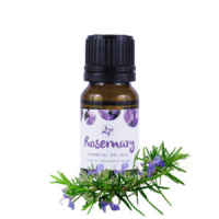 Skin Cafe Rosemary Essential Oil 10ML: Get Natural and Nourished Skin with this Aromatic Delight
