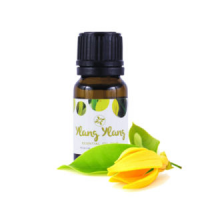 Skin Cafe YLANG YLANG Essential Oil - 10ML: A Holy Grail for Your Skin