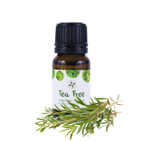 Skin Cafe Tea Tree Essential Oil – 10ML