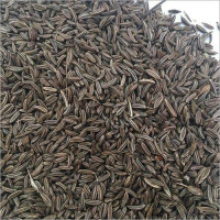 Sahi Jira 100gm - Premium Indian Cumin Seeds at Affordable Prices