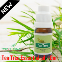 Tree tree Essential Tree Oil - 10 ml (Therapeutic Grade )