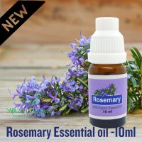 Essential OIL রোজমেরির -10ml (থেরাপিউটিক গ্রেড)