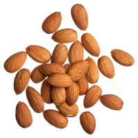 Best Quality Almond Nuts - Buy Almonds Online at Competitive Prices