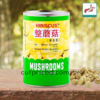 Hibiscus Musrooms 425g