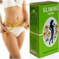 Sliming Herb Tea Bags Slim Fast_50 Tea Bags