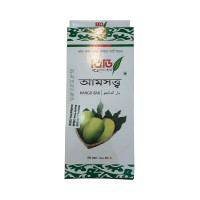 BD Mango Bar 420g — Delicious Mango Pleasure at Your Fingertips