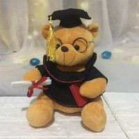 Teddy Bear Graduation Doctor: Celebrating Milestones with Cuddly Charm