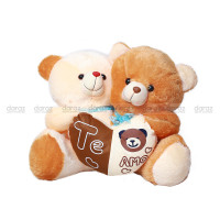 Extra Medium Big Teddy Bear for Kid 2-in-1: The Perfect Cuddly Companion for Little Ones