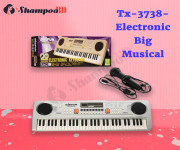 Tx-3738-Electronic Big Musical 37 Standard According Keys Keyboard Piano AC/DC Play