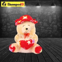 Plush Teddy Bear for Your Kids Birthday Gift and Any Occetion Gift